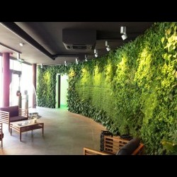 Vertical-Garden-Indoor-Tangerang1.jpg