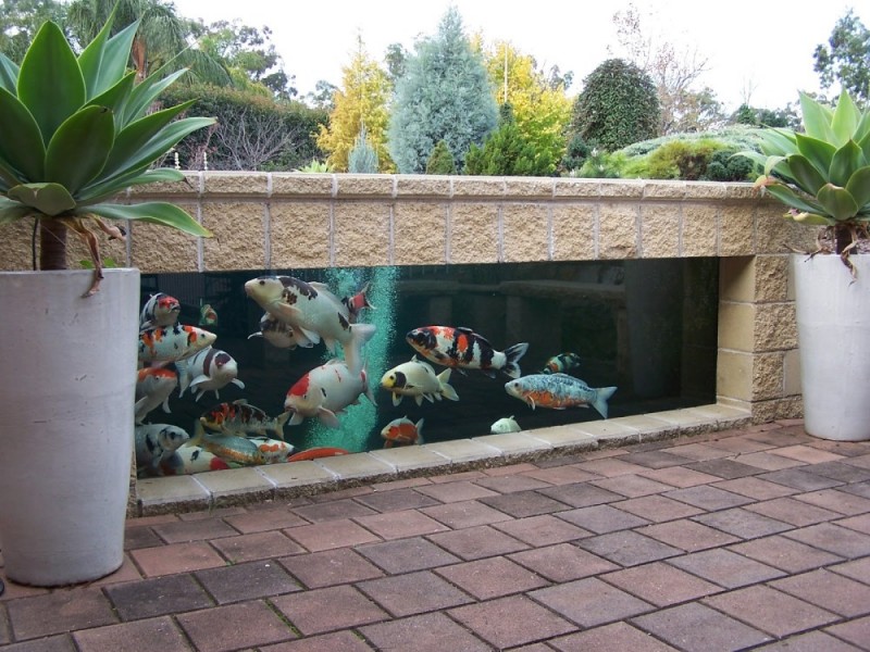 kolam ikan mini di teras rumah